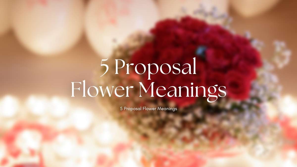 求婚必勝法：5種求婚花語