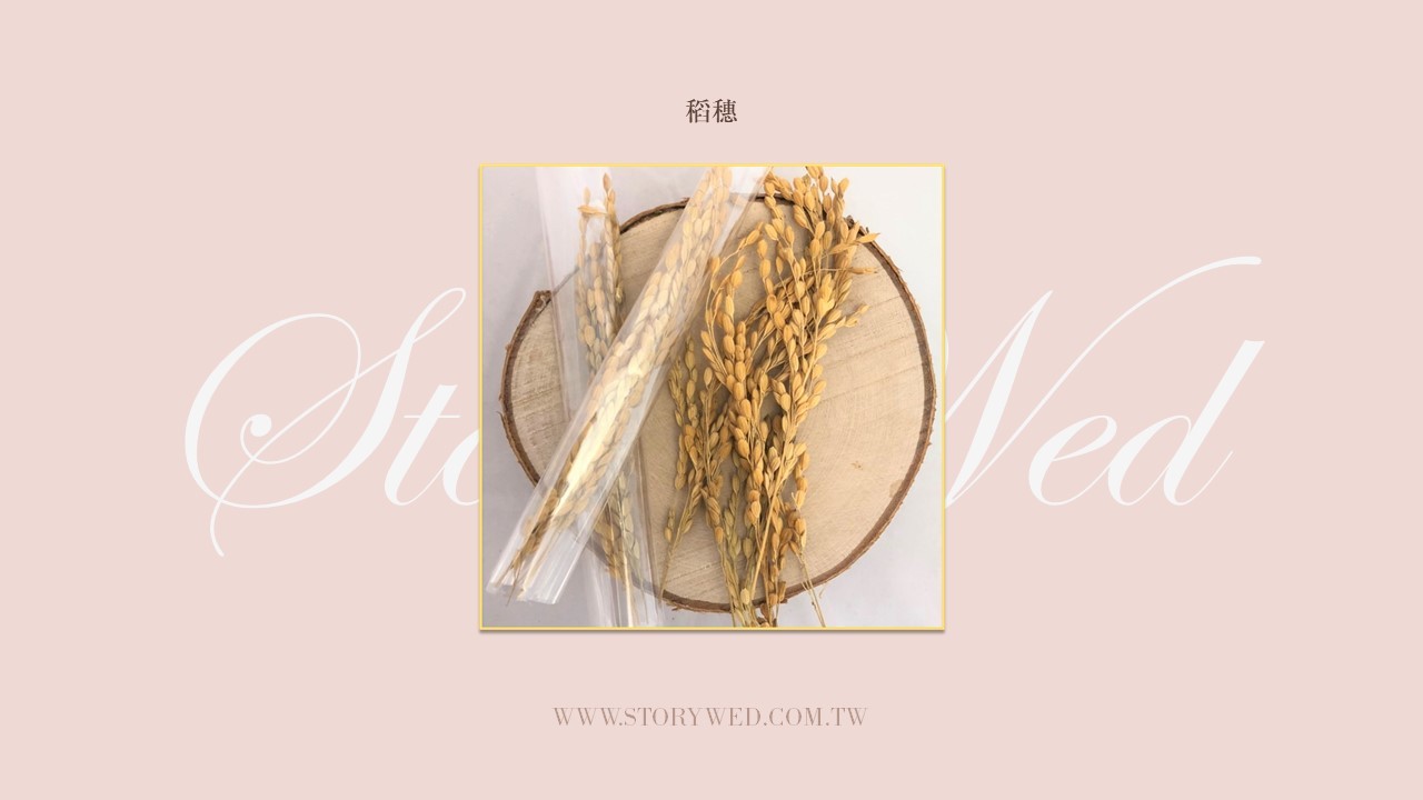 稻穗