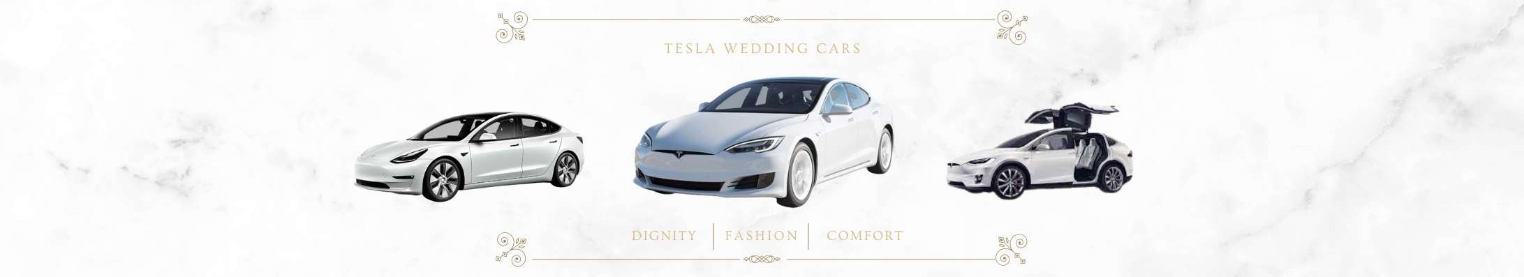 Tesla 特斯拉婚禮禮車上方形象圖