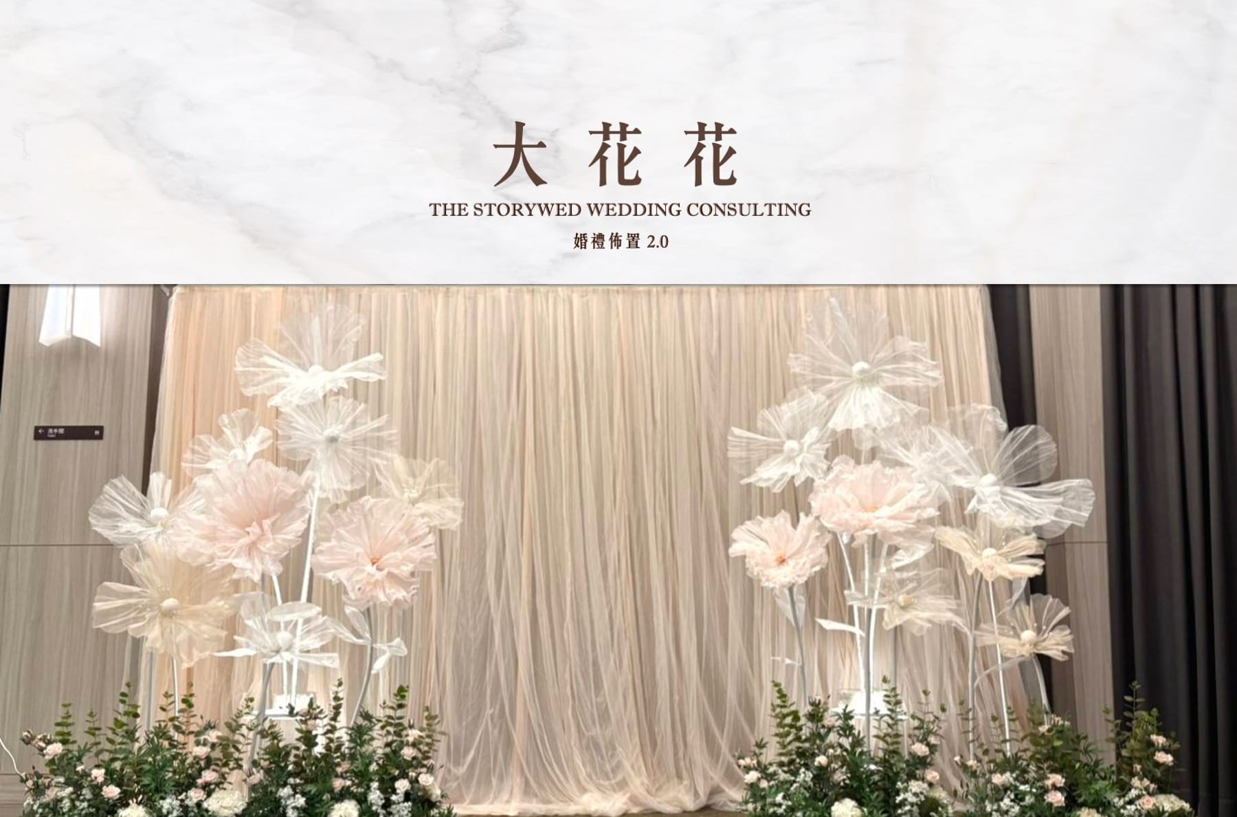 〖花語系列〗大花花代表圖片